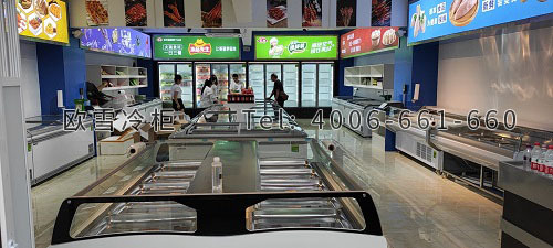 重慶冷柜購買指南及歐雪超市冷柜選購與道路普通貨運建議