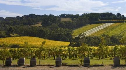 重慶梁平出國勞務與道路普通貨運發展現狀與機遇